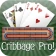 Cribbage Pro Online! icon