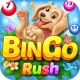 Bingo Rush - Club Bingo Games