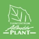 Almeerplant
