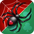Spider Solitaire