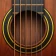 Guitarra - Músicas de Violão icon