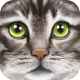 Ultimate Cat Simulator