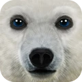 Ultimate Arctic Simulator