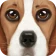 Ultimate Dog Simulator icon