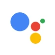 Google Asistan icon