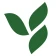 Herbalife Nutrition Tienda icon