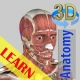 3D Bones and Organs (Anatomy)