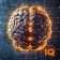 IQ Test: Logic brain training icon