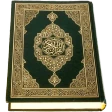 Al-Quran (Pro) icon