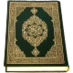 Al-Quran (Pro)