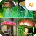 Identificatore di funghi
