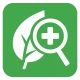 Plantenziekte
