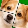 Jigmagic - Quebra-cabeças icon