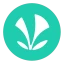 JioSaavn - Music & Podcasts