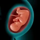 Astha Pregnancy