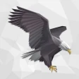 Karakartal - Beşiktaş haber icon