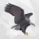 Karakartal - Beşiktaş haber icon