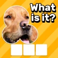 Zoom Quiz: Jogo de Imagens