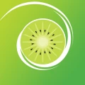 Kiwi Browser - Fast & Quiet