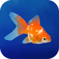 金魚育成アプリ・ポケット金魚