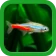 熱帯魚育成「ミニアクア」癒しのアクアリウム体験 icon