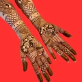 Bridal Mehndi Design