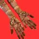Bridal Mehndi Design