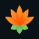Lotus Chess – Treinos icon