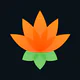 Lotus Chess – Treinos