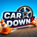 Car Down