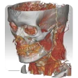 DroidRender - 3D DICOM viewer icon