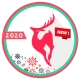 Christmas Icon Pack