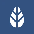 MoreApp Formulieren