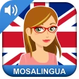 Imparare l'inglese rapidamente icon
