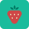 BLW Meals: Starting Solids