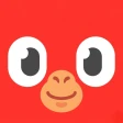 Netify: YKS, TYT & AYT icon
