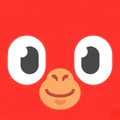 Netify: YKS, TYT & AYT