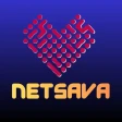 Netsava icon