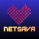 Netsava icon