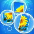 Bubblepics - Pop Jigsaw Puzzle