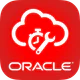 Oracle Field Service
