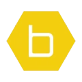 b-hyve Pro