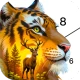 Wild Color - Paint by Number