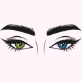 Diseña tus cejas paso a paso