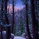 Living Worlds – Mark Ferrari