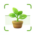 Plantas Identificador cuidado
