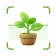 Plantas Identificador cuidado icon