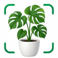 しょくぶつ図鑑 - きのこ図鑑 - 植物認識アプリ