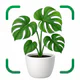 しょくぶつ図鑑 - きのこ図鑑 - 植物認識アプリ