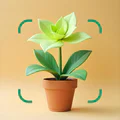 花の名前を調べる: しょくぶつ図鑑 - 樹木判別